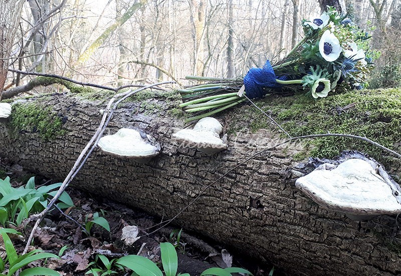 Bouquet de fleurs pour le deuil posé sur un tronc couhé dans la forêt