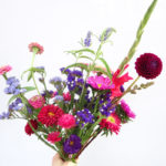 Bouquet été - Pierres Fleurs Ciseaux