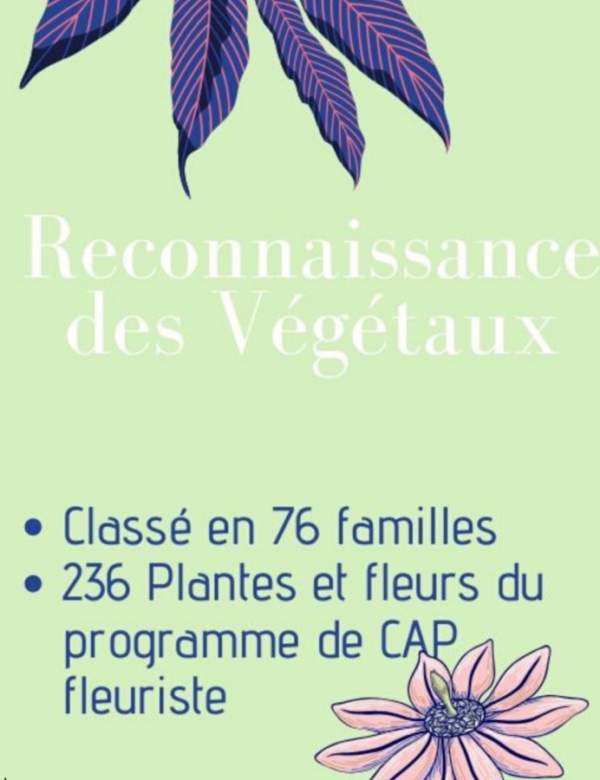 Reconnaissance des végétaux