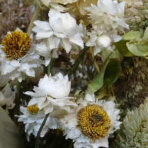 Bouquet de fleurs séchées