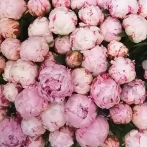 Bouquet fête des mères