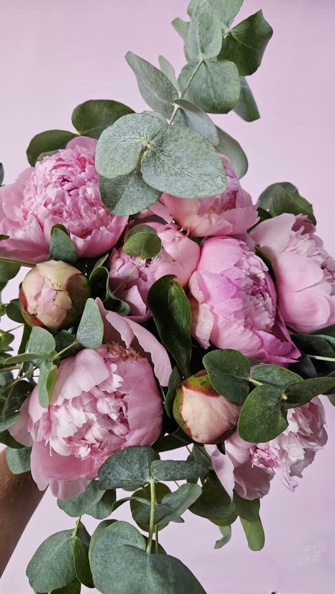 Pivoines Bouquet de pivoines Fête des mères
